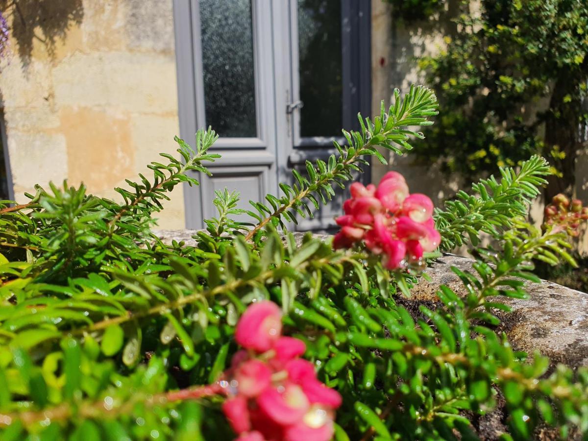 Le Clos Reaud Blaye Εξωτερικό φωτογραφία