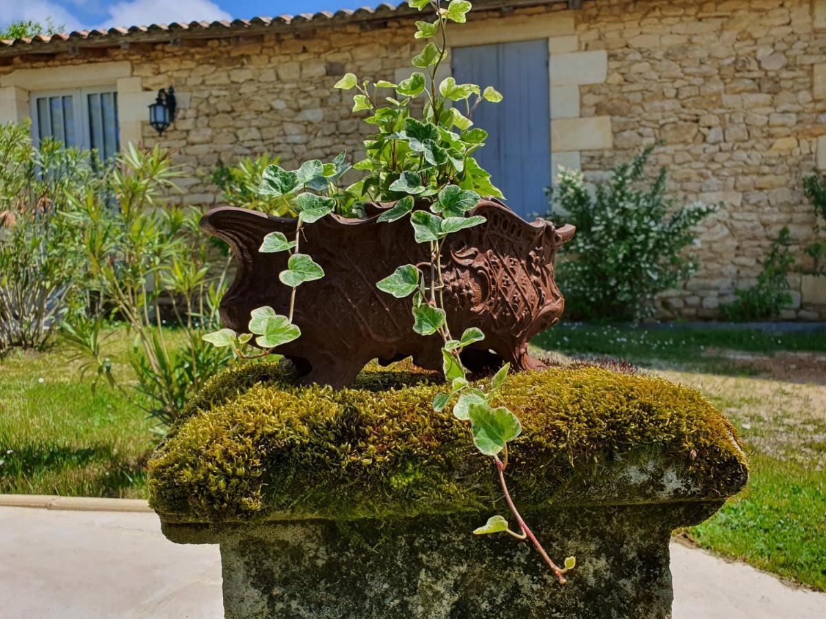 Le Clos Reaud Blaye Εξωτερικό φωτογραφία